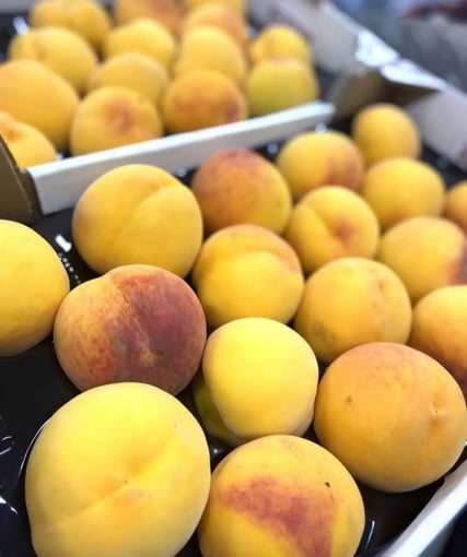 3B30325D-2897-4B08-AD7A-3A12ED579BC8