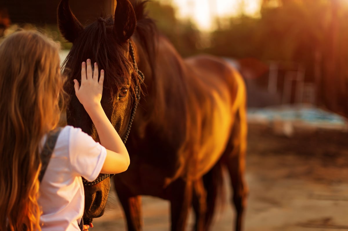 Fortalecendo Laços Equestres: O Papel do Cantinho do Cavalo