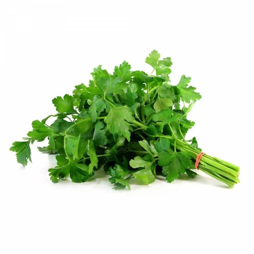 Salsa 80G