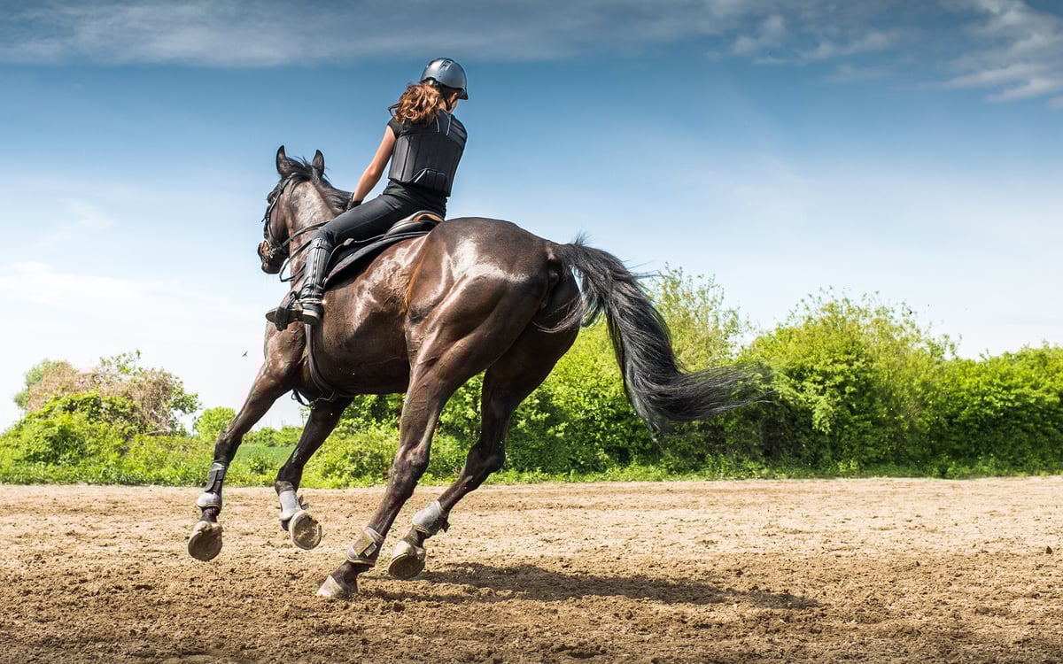 A Comunidade Equestre do Cantinho do Cavalo