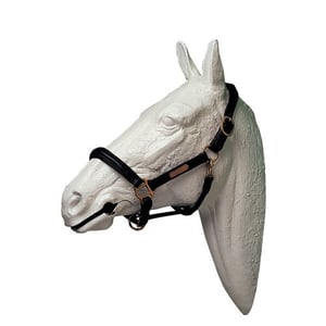 Imagem do produto Cabeção Lexhis em Couro