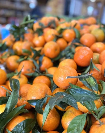 01B33A73-4BCA-409B-AACC-D1878AE5D060