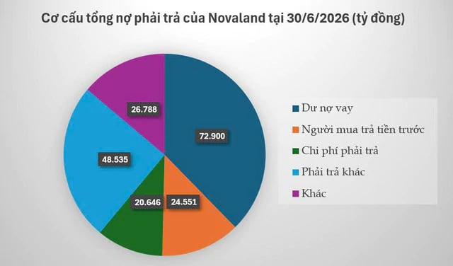 Novaland: Dự án xếp hàng chờ triển khai, doanh nghiệp vẫn tính đường xoay vốn từ cổ đông để trả nợ