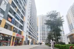 Biệt thự triệu đô bỏ hoang ở Hà Nội, cách nào để "trị”?