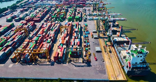 Viconship sắp “bỏ túi” gần 90 tỷ đồng cổ tức từ Cảng Xanh Vip