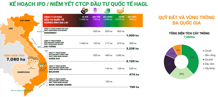 Công ty con của HAGL chốt ngày IPO gần 19 triệu cp với giá gấp hơn 4 lần cổ phiếu HAG