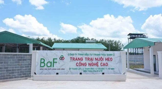 Nông nghiệp BAF hướng đến mức lợi nhuận kỷ lục, chia cổ tức và cổ phiếu thưởng tổng tỷ lệ 20%