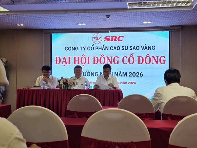 Chủ tịch Phạm Hoành Sơn (SRC): Tổng mức đầu tư dự án 231 Nguyễn Trãi là 20,000 tỷ