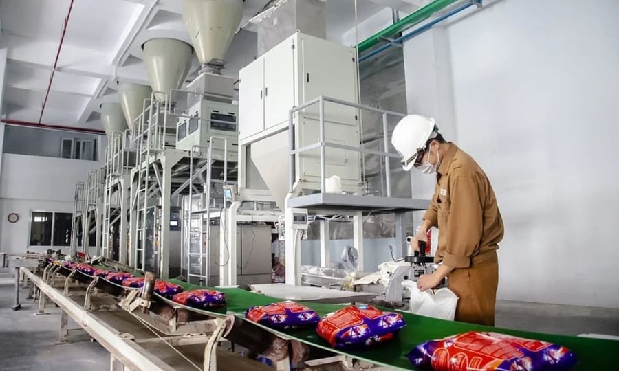 Hóa chất Đức Giang giải trình ý kiến ngoại trừ của kiểm toán