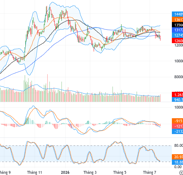 VJC chart