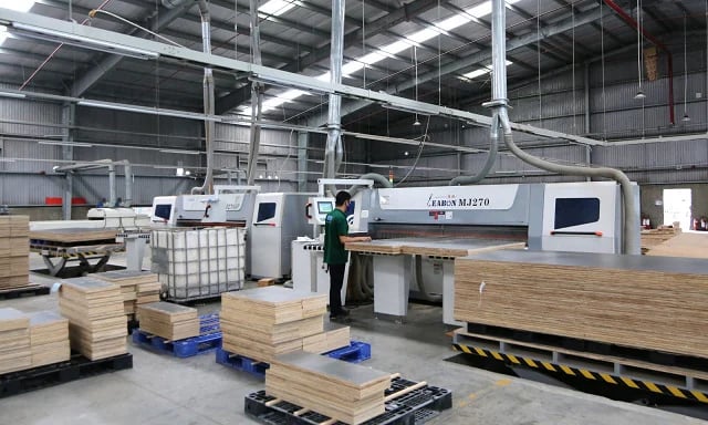 Gỗ Trường Thành lỗ hơn 209 tỷ đồng trong quý 2/2026