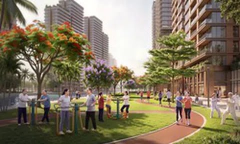 KIS Việt Nam đặt cược lớn vào margin, mảng môi giới hụt hơi