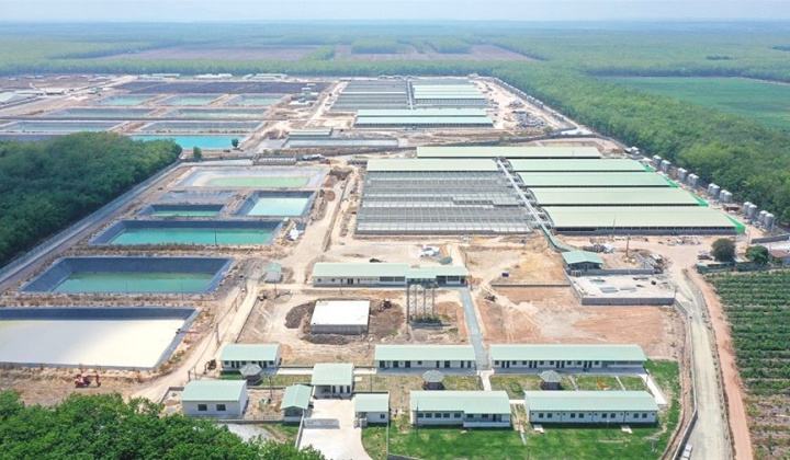 BAF Việt Nam (BAF): Kỳ vọng lãi năm nay tăng gấp 8 lần, sắp khơi công “siêu” dự án 12.000 tỷ