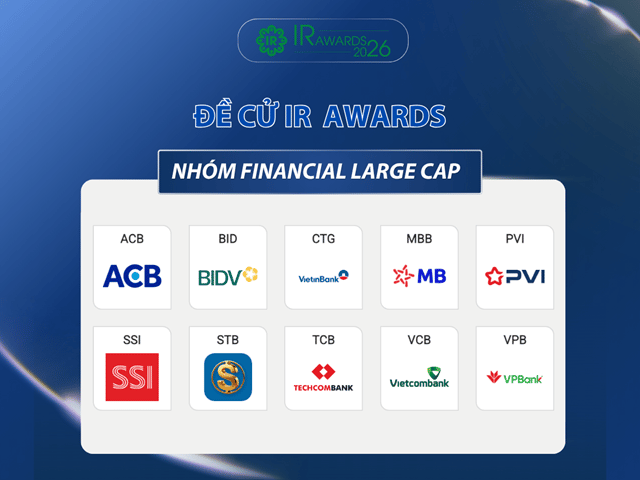 Ảnh danh sách đề cử - Financial Large Cap