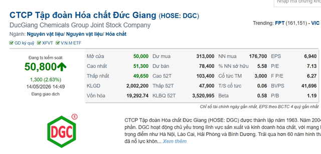 DGC gấp rút kiểm toán báo cáo tài chính để cổ phiếu sớm thoát diện kiểm soát