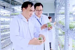 Thêm nghị định 'sàng lọc' thị trường trái phiếu doanh nghiệp
