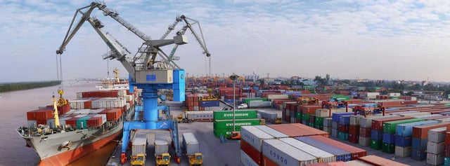 Viconship sắp phát hành gần 206 triệu cổ phiếu, đưa vốn điều lệ tăng gần gấp rưỡi