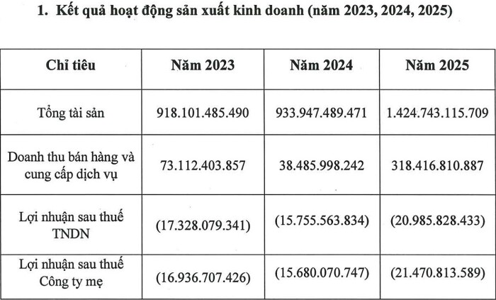 HNX hủy niêm yết cổ phiếu AAV, doanh nghiệp nói gì?