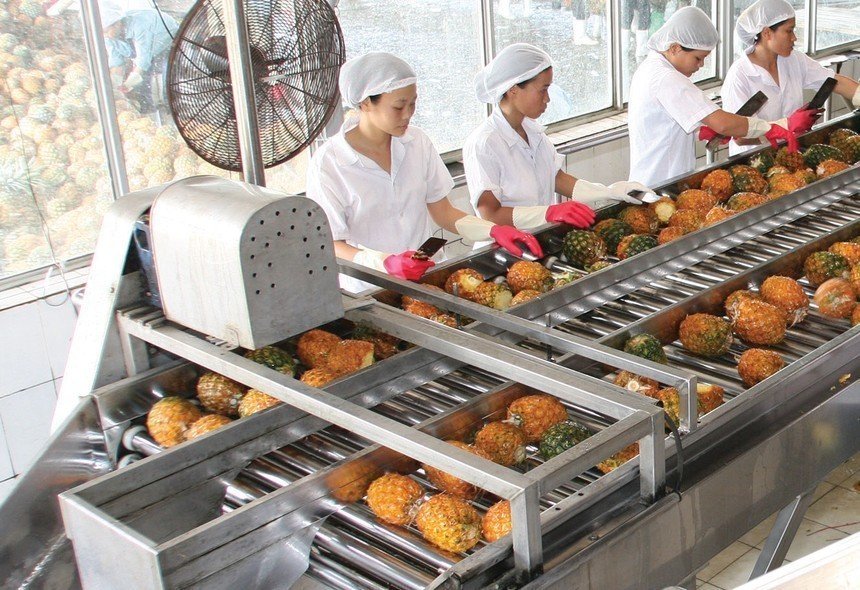 Afiex chuẩn bị phát hành 10,5 triệu cổ phiếu để trả cổ tức