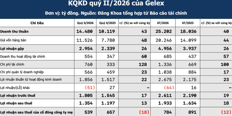 Gelex nắm hơn 11.000 tỷ tiền mặt, khoản chứng khoán kinh doanh thu hẹp còn 6.000 tỷ