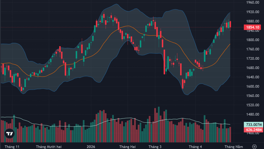 Cầu bắt đáy hoạt động mạnh trong nhóm cổ phiếu vừa và nhỏ