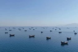 Chứng khoán Mỹ bứt phá, giá dầu giảm mạnh sau tín hiệu "mở lại eo biển Hormuz"