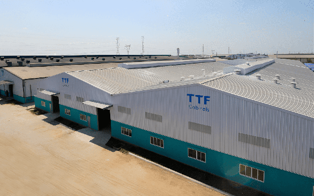 TTF giải trình việc cổ phiếu bị cảnh báo giữa bối cảnh thị giá suy yếu