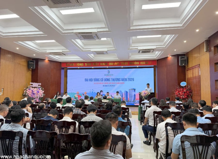 Dabaco Việt Nam: Đặt mục tiêu 80.000 heo nái và trên 2 triệu heo thịt/năm trước năm 2028