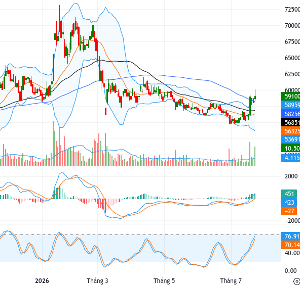 VNM chart