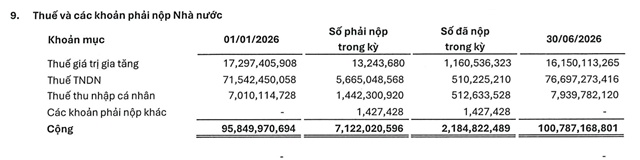 NRC vẫn nợ thuế trăm tỷ, cổ phiếu gần chia đôi sau khi ông Đỗ Thành Nhân xuất hiện
