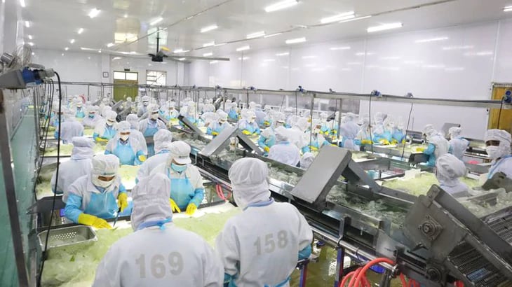 Công ty Cổ phần Thực phẩm G.C bị phạt 425 triệu đồng