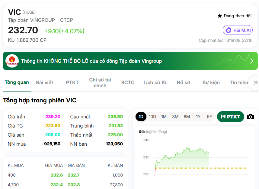 Cổ phiếu VIC lại thăng hoa, VNIndex được tiếp sức