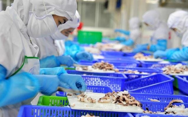 Nông sản Thực phẩm Cà Mau bị phạt vì chậm công bố thông tin