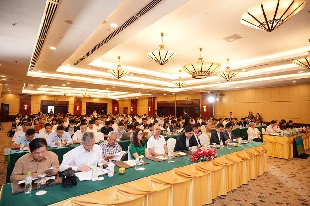 HAGL phỏng vấn cổ đông