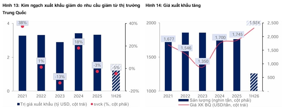 Sóng gió và cơ hội từ cổ phiếu cao su