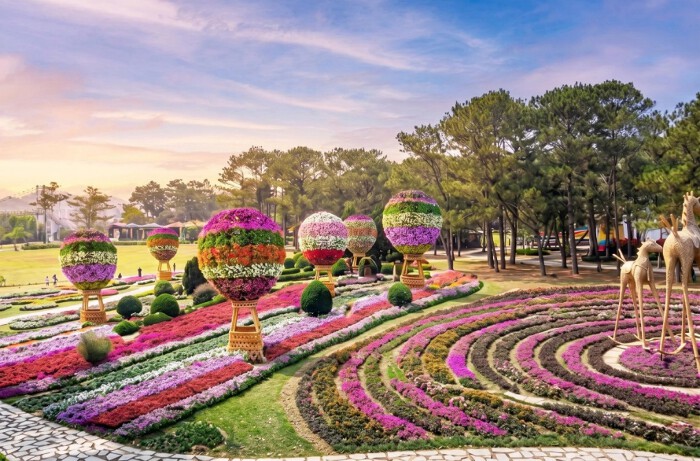 Khinh khí cầu hoa tại TTC World