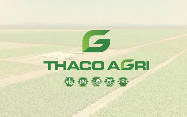 Thaco Agri bị phạt 92,5 triệu đồng vì chậm công bố loạt báo cáo