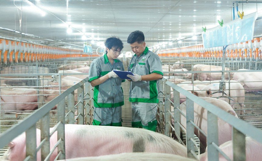 BAF Việt Nam dự kiến thu về hơn 608 tỷ đồng từ đợt chào bán cổ phiếu
