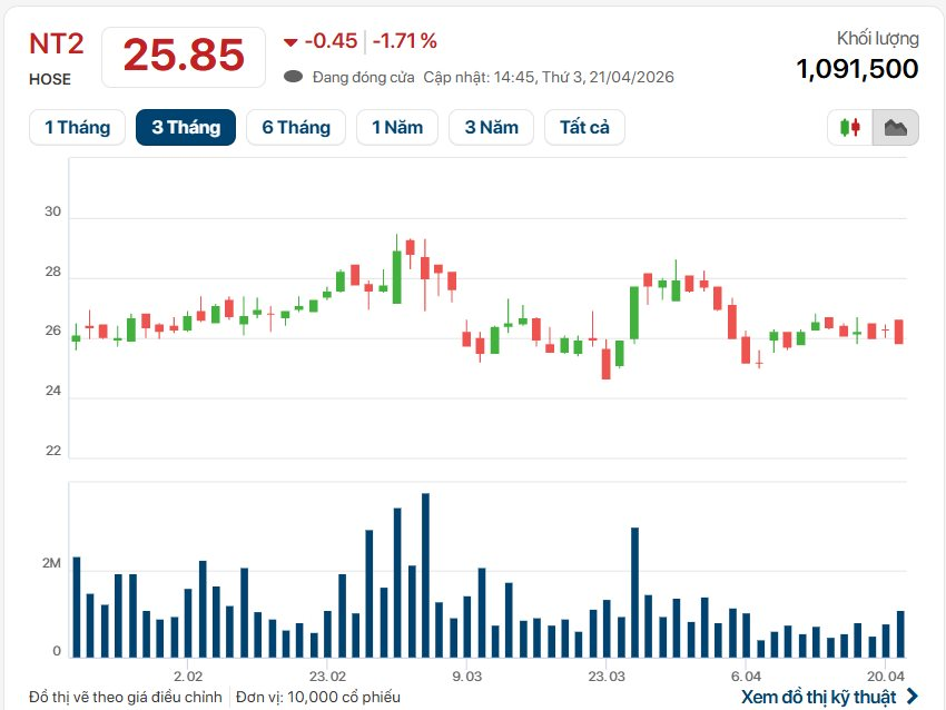 NT2 bảng cân đối kế toán ngắn hạn