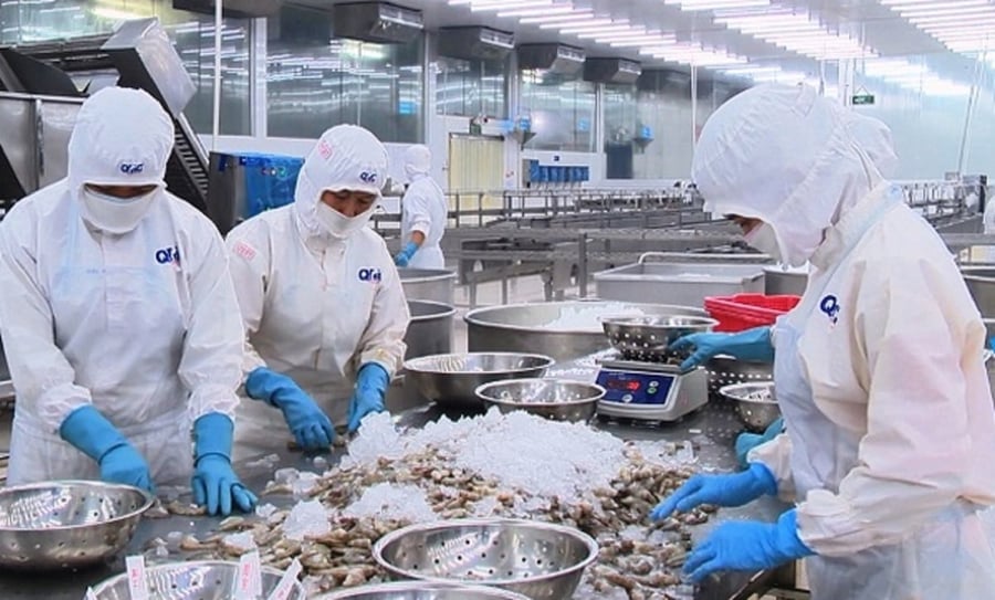 Điểm danh cổ phiếu đáng chú ý phiên 15/6: VHC, MSH và GEX