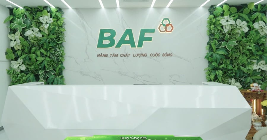 BAF đệ trình phương án chi trả cổ tức và phát hành cổ phiếu thưởng với tỷ lệ 20%