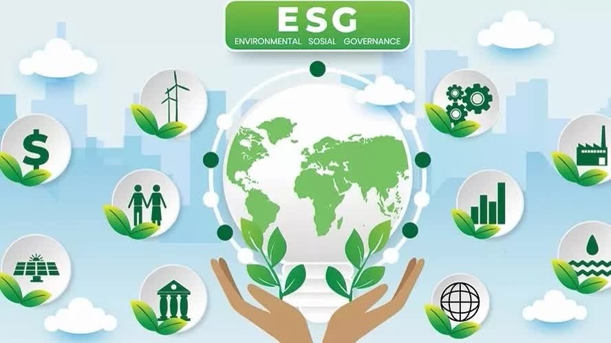 ESG tại doanh nghiệp Việt: Gỡ nút thắt dữ liệu để vượt bài toán thực thi