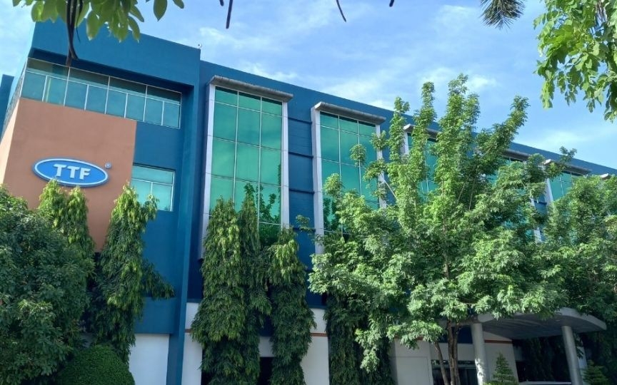 Gỗ Trường Thành: Tái cấu trúc và thách thức cổ phiếu TTF
