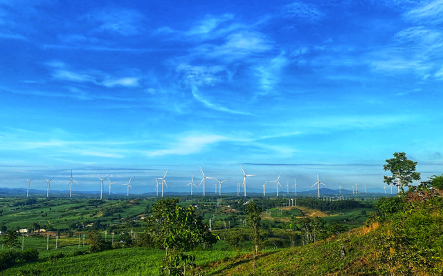 Phong điện Chơ Long báo lỗ gần 123 tỷ đồng nửa đầu năm 2025