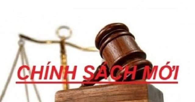 Một số chính sách mới quan trọng có hiệu lực từ tháng 6/2026