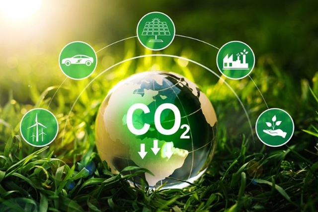 Sở giao dịch chứng khoán phải giám sát giao dịch có dấu hiệu vi phạm trên sàn tín chỉ carbon