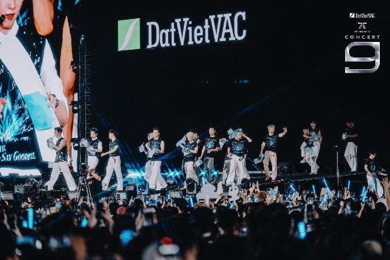 DatVietVAC revenue image
