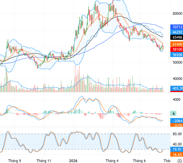 BVH chart