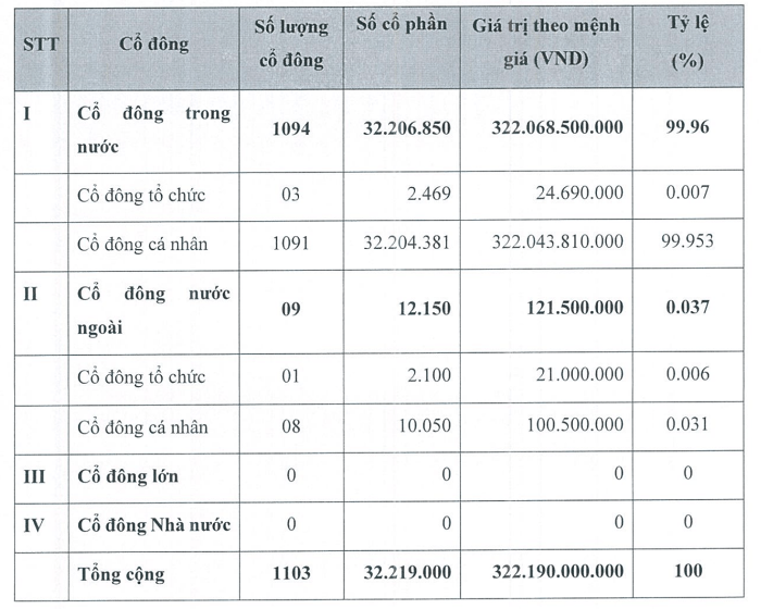 Cơ cấu cổ đông DST