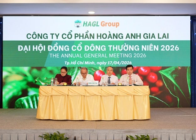 HAGL ĐHĐCĐ 2026